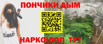 прущие грибы Краснокаменск