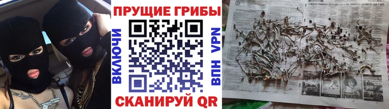 Галлюциногенные грибы прущие грибы  где купить наркоту  Строитель 