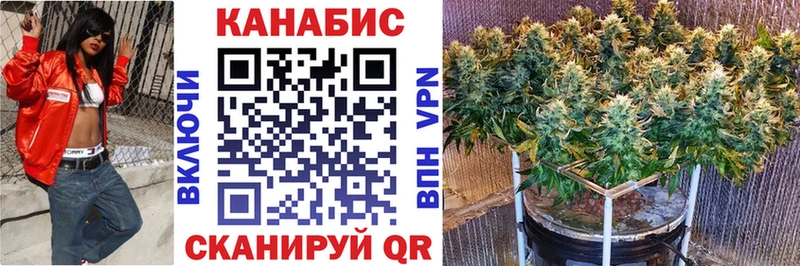 Шишки марихуана SATIVA & INDICA  где купить наркоту  Строитель 